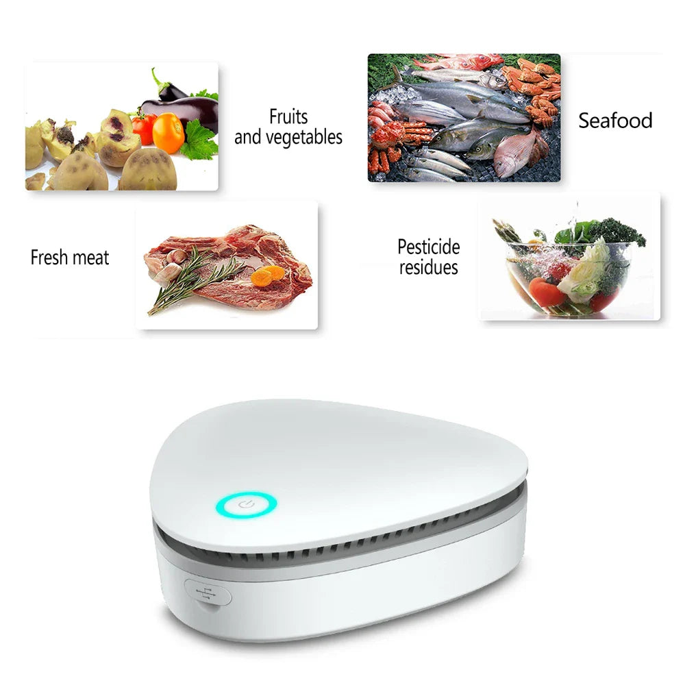 Portable Ozone Generator